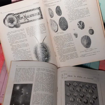 LOTE LA SALLE CONDAL PUBLICACIÓN DEL COLEGIO Y DE LOS ANTIGUOS ALUMNOS.