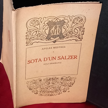 SOTA D'UN SÀLZER, APELES MESTRES.