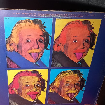 POP MUZIK, M, VINILO LP