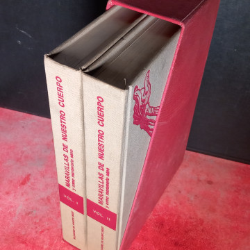 MARAVILLAS DE NUESTRO CUERPO Y CÓMO MANTENERLO SANO.