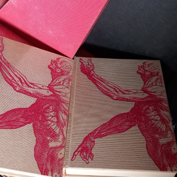 MARAVILLAS DE NUESTRO CUERPO Y CÓMO MANTENERLO SANO.