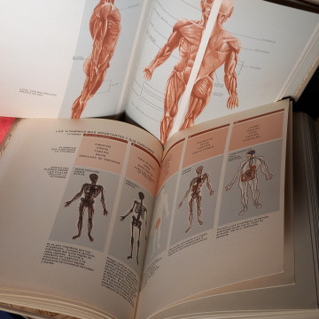 MARAVILLAS DE NUESTRO CUERPO Y CÓMO MANTENERLO SANO.