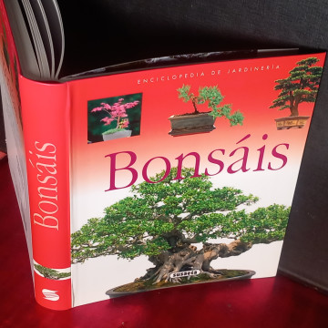 EL ARTE DEL BONSÁI.