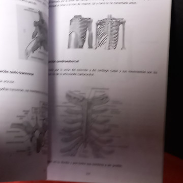 PRO QUIROMASTER, FORMACIÓN DE QUIROMASAJE CONSCIENTE, JAVIER SÁNCHEZ.