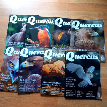 LOTE 8 REVISTAS QUERCUS.