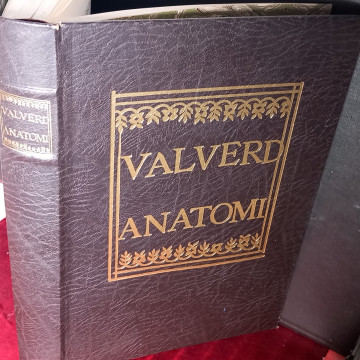 VALVERD ANATOMI, HIFTORIA DELL'ANATOMIA, GIOUANNI VALUERDE.