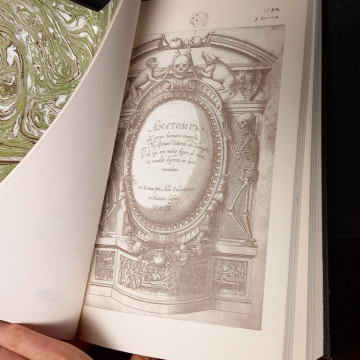 VALVERD ANATOMI, HIFTORIA DELL'ANATOMIA, GIOUANNI VALUERDE.