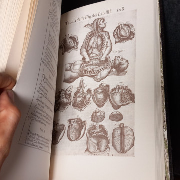 VALVERD ANATOMI, HIFTORIA DELL'ANATOMIA, GIOUANNI VALUERDE.