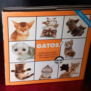 ADORABLES GATOS COMO NUNCA ANTES LOS HABÍAS VISTO.