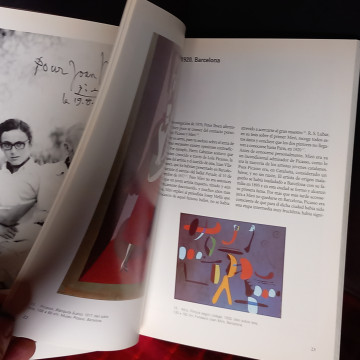 PICASSO-MIRÓ, MIRADAS CRUZADAS, VICTORIA COMBALÍA.
