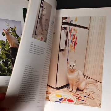 POR QUÉ PINTAN LOS GATOS: UNA TEORÍA SOBRE LA ESTÉTICA FELINA.