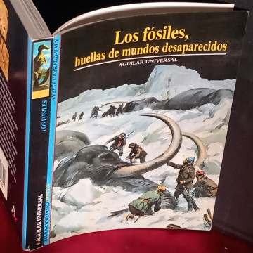 LOS FÓSILES, HUELLAS DE MUNDOS DESAPARECIDOS, YVETTE GAYRAND-VALY.