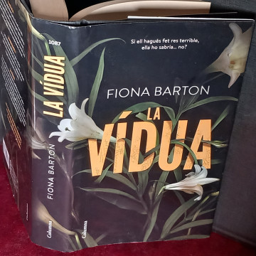LA VÍDUA, FIONA BARTON.