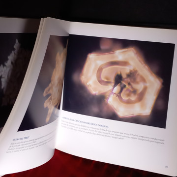 MENSAJES DEL AGUA, MASARU EMOTO.