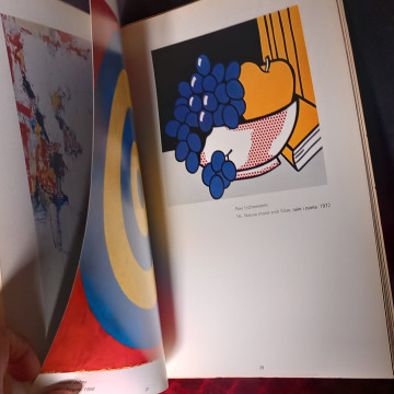 AMÈRICA, AMÈRICA, FUNDACIÓ JOAN MIRÓ (en català).