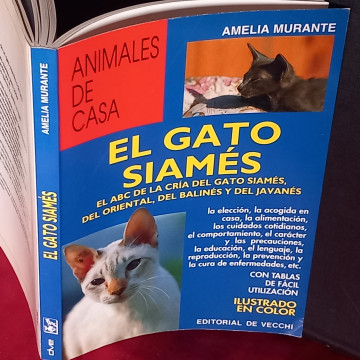 EL GATO SIAMÉS, AMELIA MURANTE.