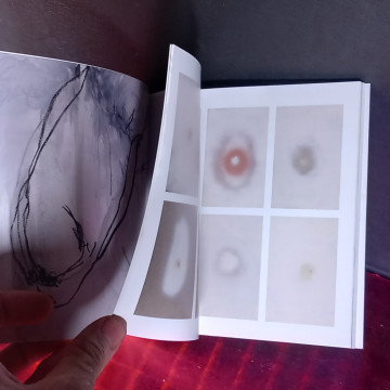 L'ANGUILA, PAULA BONET