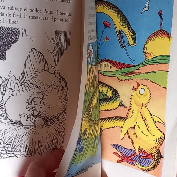 VIDA I FI DEL POLLET PIUPÍ