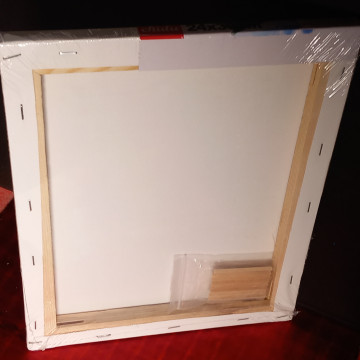 LIENZO PARA PINTAR NUEVO (GRATIS)