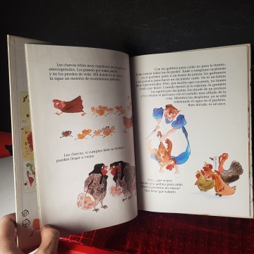 Cuento clueca porque sí Elisa Ramón y Montserrat Janet cuento infantil