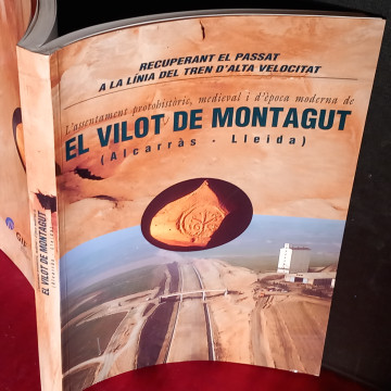 EL VILOT DE MONTAGUT, ALCARRÀS, LLEIDA: L'ASSENTAMENT PROTOHISTÒRIC, MEDIEVAL I D'ÈPOCA MODERNA.
