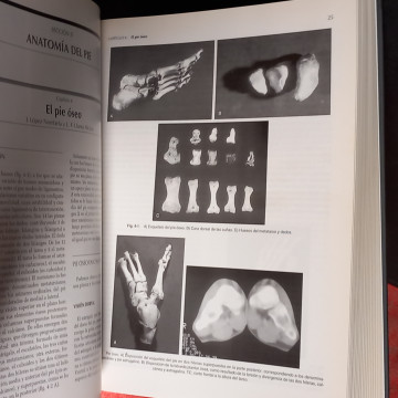 BIOMECÁNICA, MEDICINA Y CIRUGÍA DEL PIE, MARIANO MÚÑEZ-SAMPER