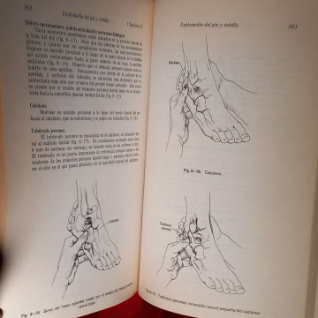 EXPLORACIÓN FÍSICA DE LA COLUMNA VERTEBRAL Y LAS EXTREMIDADES, STANLEY HOPPENFELD.