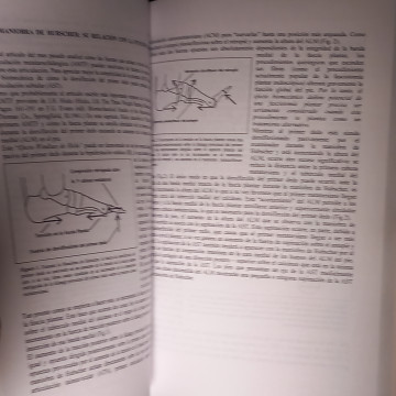 BIOMECÁNICA DEL PIE Y LA EXTREMIDAD INFEIRIOR, KEVIN A. KIRBY , I, II Y III.