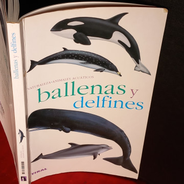 BALLENAS Y DELFINES.