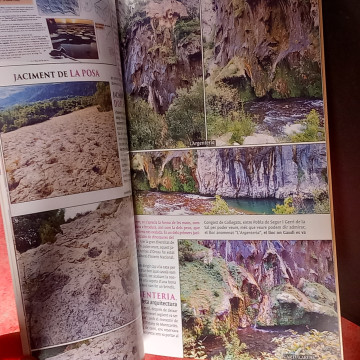 REVISTA CARTULARI DE LA CATALUNYA COMTAL 39 PALLARS JUSSÀ.