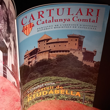 REVISTA CARTULARI DE LA CATALUNYA COMTAL 31 CASTELL DE RIUDABELLA.