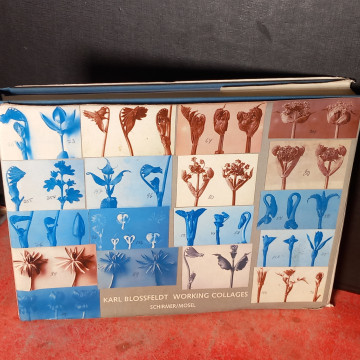 KARL BLOSSFELDT WORKING COLLAGES.