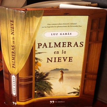PALMERAS EN LA NIEVE, LUZ GABÁS.