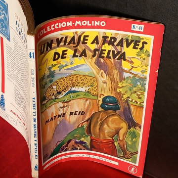 UN VIAJE A TRAVÉS DE LA SELVA, KARL MAY.