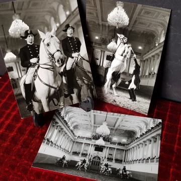 7 € Lote 3 Fotografías y texto caballos de la Escuela de Viena