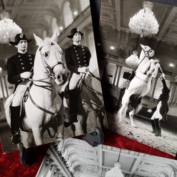 7 € Lote 3 Fotografías y texto caballos de la Escuela de Viena