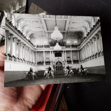 7 € Lote 3 Fotografías y texto caballos de la Escuela de Viena