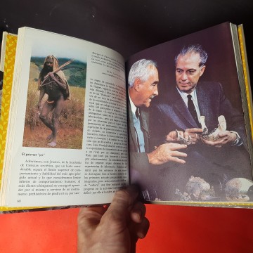 El origen del hombre