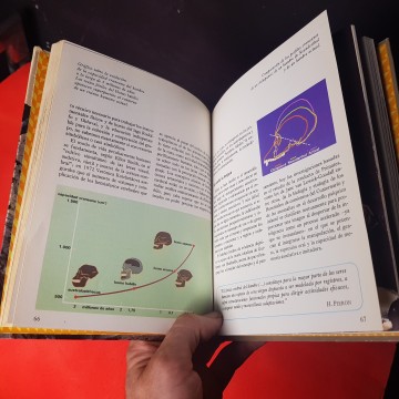 El origen del hombre