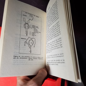 Las enfermedades alérgicas, Dr Jean Pierre Girard