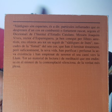 Xàldigues de llum, Joaquim Vives i Aragó