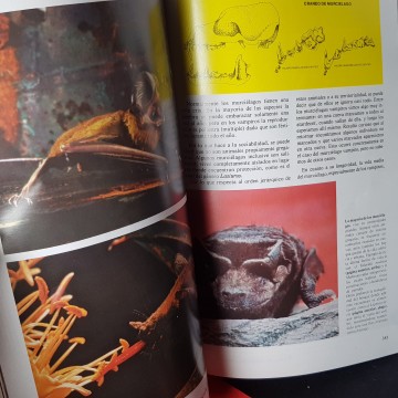 Revista de Geografía Universal vol 1 número 5 1977